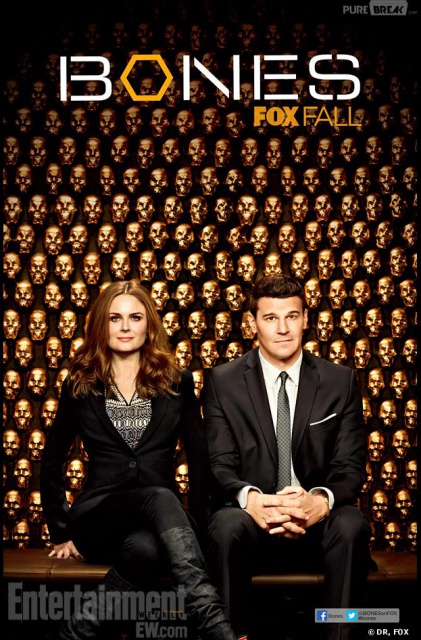 Bones S08E19 FRENCH HDTV