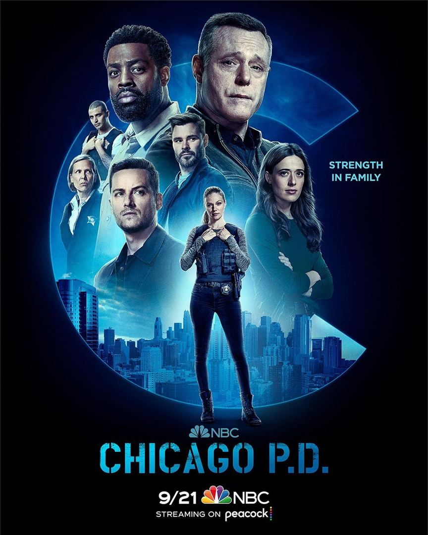 Chicago Police Department S10E17 VOSTFR HDTV