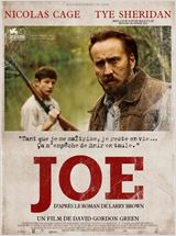 Joe FRENCH BluRay 720p 2014