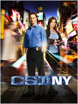 Les Experts : Manhattan S09E04 FRENCH HDTV