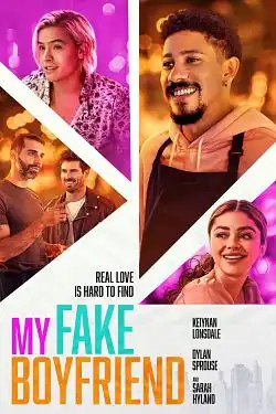 My Fake Boyfriend FRENCH WEBRIP x264 2022