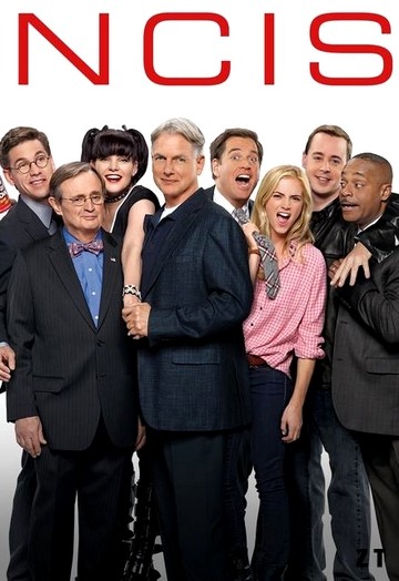 NCIS S14E21 FRENCH HDTV