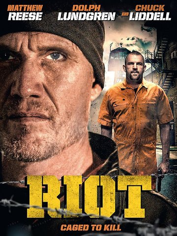 Riot TRUEFRENCH DVDRIP 2015